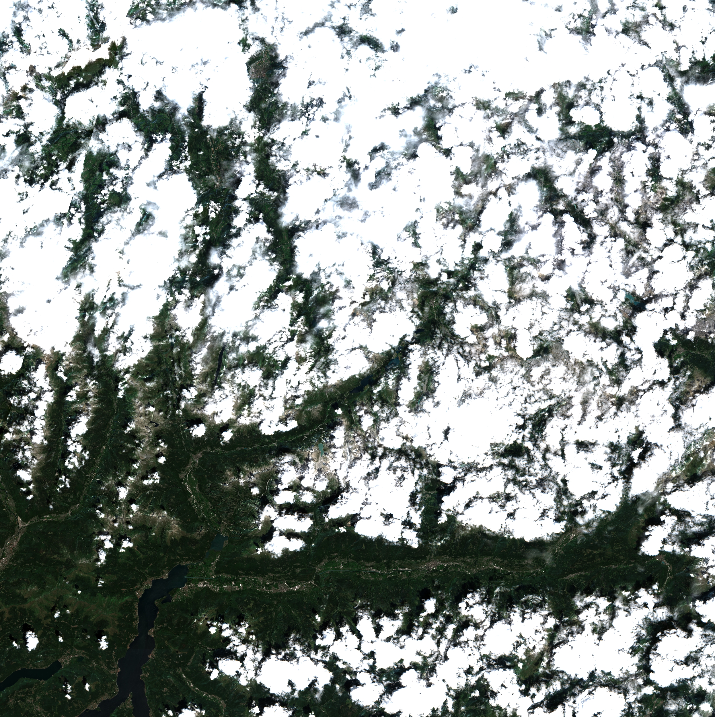 Alps - Jul 29, 2025